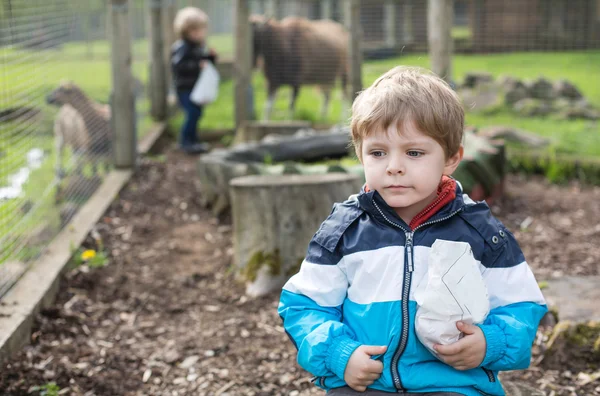 Dos niños pequeños alimentando animales en el zoológico —  Fotos de Stock