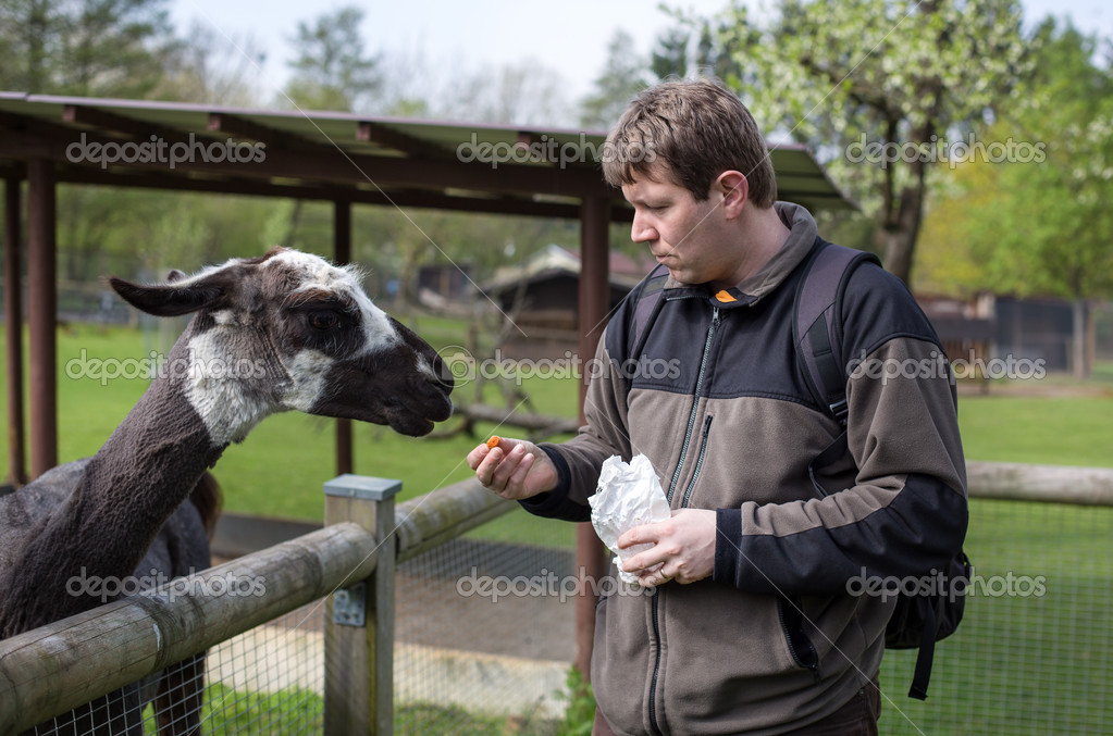 Young man feeding animals in zoo Stock Photo by ©romrodinka 25161403
