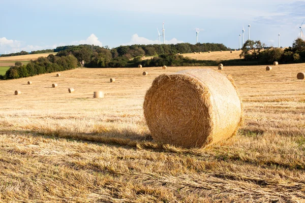 Fardos de feno no campo após a colheita, Alemanha — Fotografia de Stock