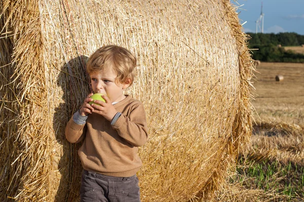 Little toddler eating apple with a big hay bale on field — Zdjęcie stockowe