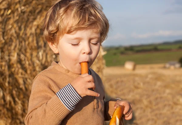 Lovely little boy of two years with pretzel on hay field — Stock Photo, Image