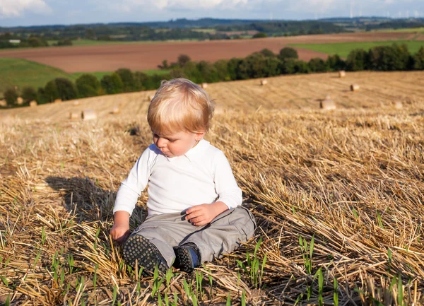 Niño comiendo salchicha alemana en el campo de heno de Goden —  Fotos de Stock