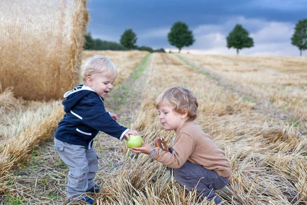 Dva malí chlapci batole hraje na slaměné pole — Stock fotografie