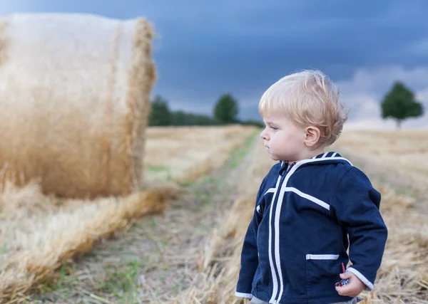 Lilla pojken äta tysk korv på goden hö fältet — Stockfoto