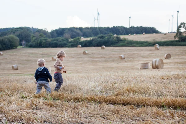 Twee kleine peuter jongens spelen op stro veld — Stockfoto