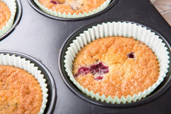 Muffins recém-assados com bagas mistas — Fotografia de Stock