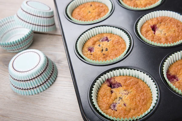 Freshly baked muffins with mixed berries — Stock Photo, Image