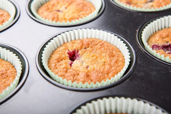 Frisch gebackene Muffins mit gemischten Beeren — Stockfoto