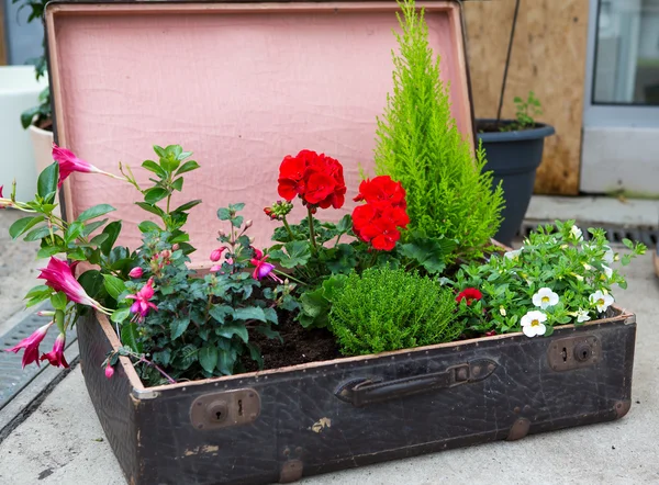 Bloemstuk in een bloemen winkel — Stockfoto