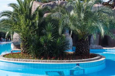 Güzel otel Yüzme Havuzu befor gündoğumu