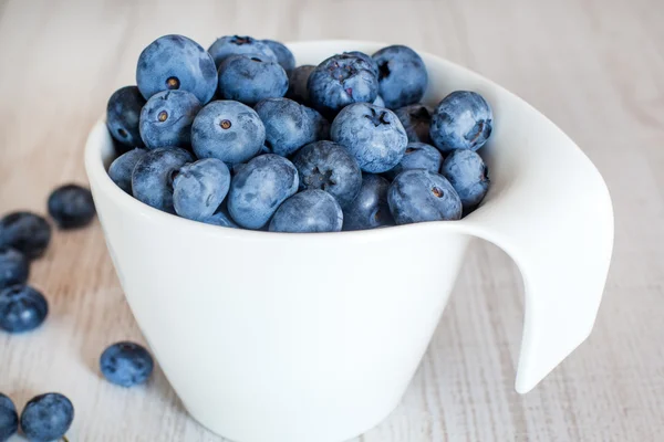 Vit skål cup med färska mogna blåbär — Stockfoto