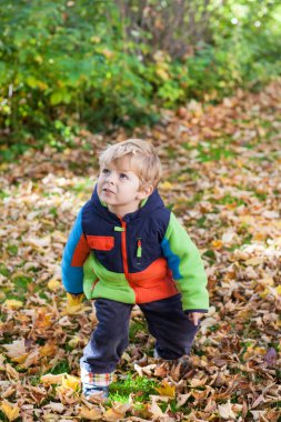 yürümeye başlayan çocuk sonbahar park eğlenmek
