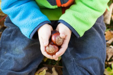 yürümeye başlayan çocuk sonbahar park eğlenmek