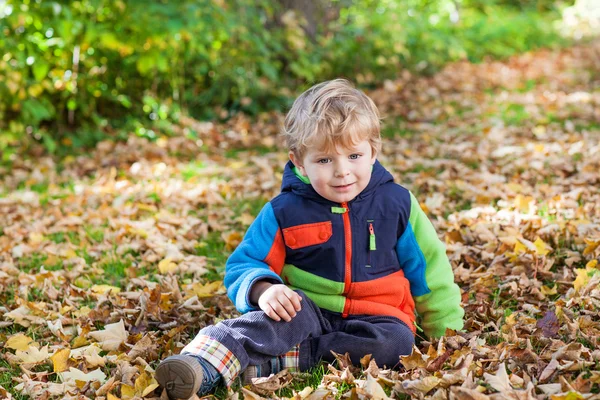 Pequeño niño divirtiéndose en el parque de otoño —  Fotos de Stock