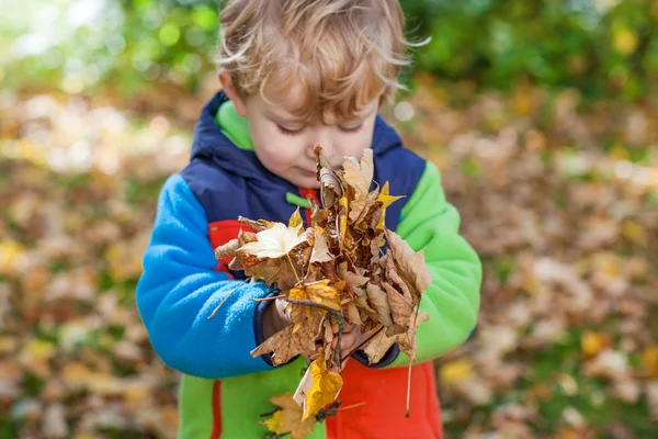 Little toddler boy having fun in autumn park — Stock Photo, Image