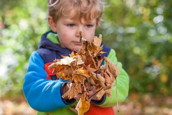 秋の公園で楽しんでいる幼児男の子 — ストック写真