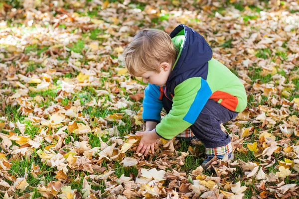 Pequeño niño divirtiéndose en el parque de otoño —  Fotos de Stock