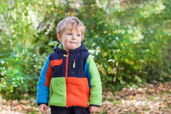 Piccolo bambino ragazzo si diverte nel parco autunnale — Foto Stock