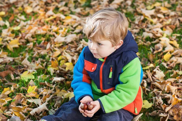 Menino pequeno se divertindo no parque de outono — Fotografia de Stock