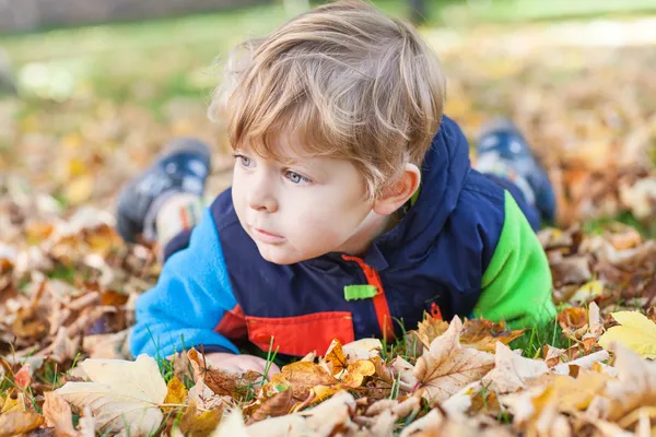 Piccolo bambino ragazzo si diverte nel parco autunnale — Foto Stock