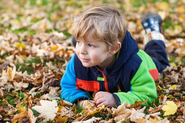 Little toddler boy having fun in autumn park — Stock Photo, Image