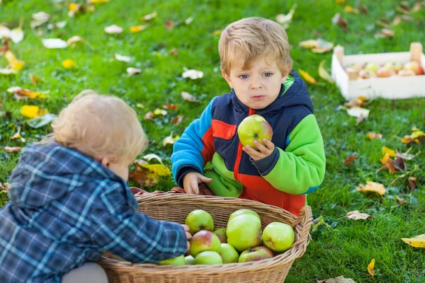 Dois meninos com cesta de maçã — Fotografia de Stock