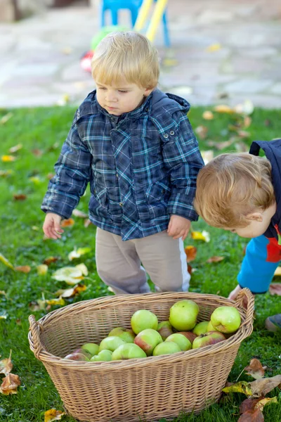 Dois meninos com cesta de maçã — Fotografia de Stock