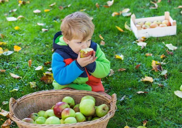 Little toddler boy eating apple — Stock Photo, Image