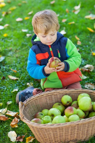 Menino pequeno comendo maçã — Fotografia de Stock