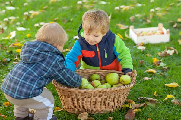 Два маленьких мальчика с корзиной яблок — стоковое фото