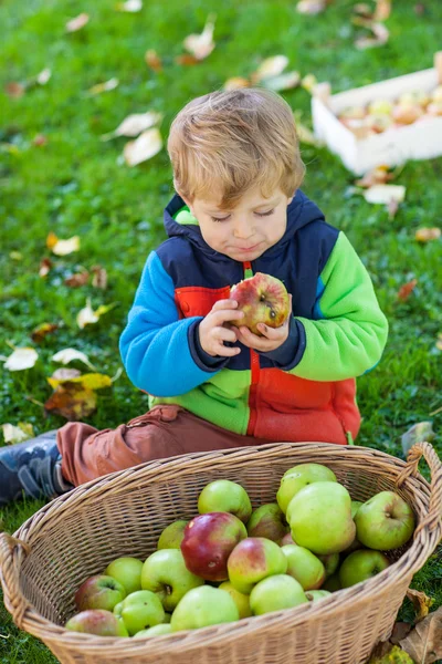 Little toddler boy eating apple — Stock Photo, Image