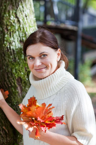 Menina bonita no parque de outono recolhe folhas — Fotografia de Stock