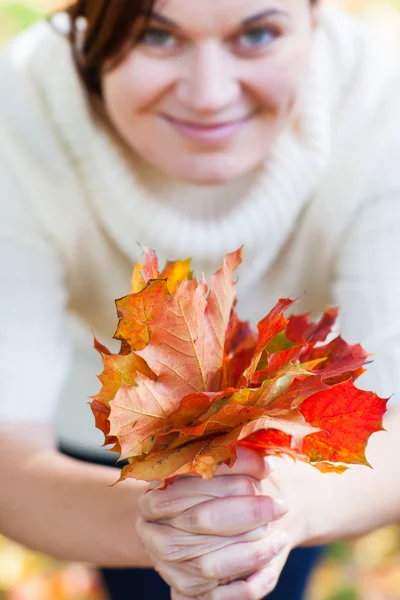 Buquê de folhas de outono na mão da mulher — Fotografia de Stock