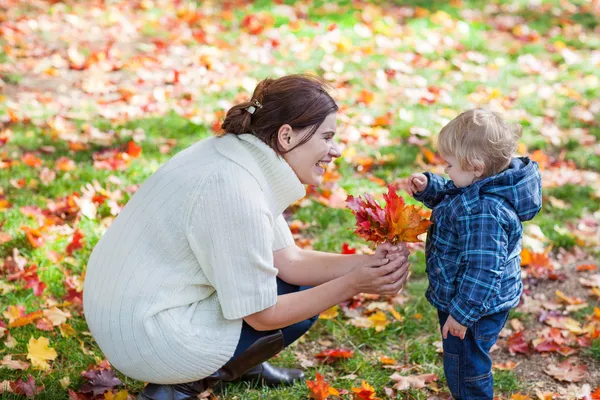 Trochę maluch chłopiec i młoda matka w parku jesień — Zdjęcie stockowe