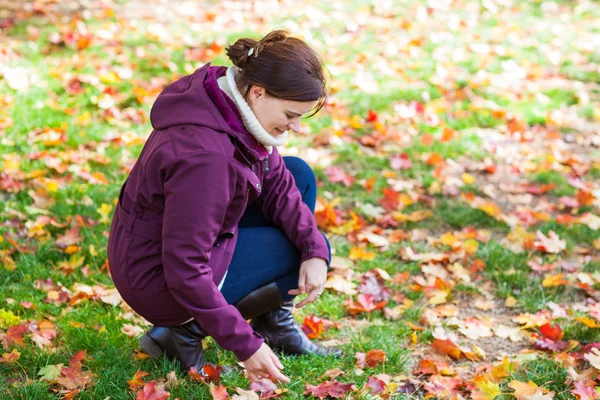 Bella ragazza nel parco autunnale raccoglie foglie — Foto Stock