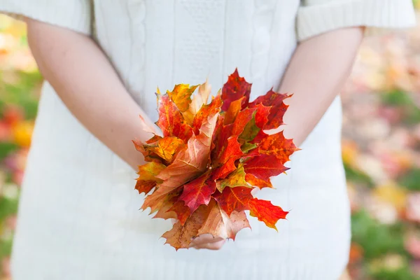Kytice podzimní listy v ruce žena — Stock fotografie