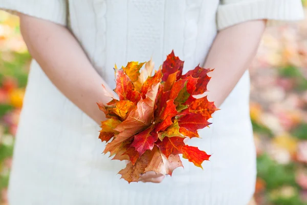 Bouquet di foglie autunnali in mano donna — Foto Stock