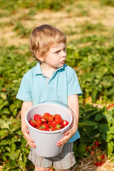 Pequeño niño en granja de fresas orgánicas — Foto de Stock