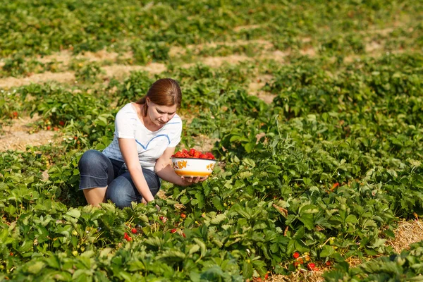 Jonge vrouw op biologische aardbei boerderij — Stockfoto