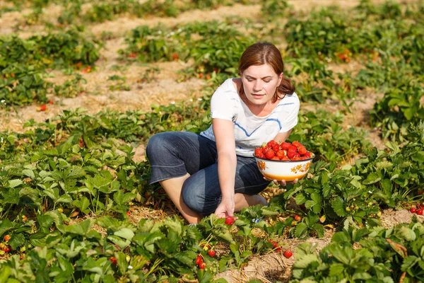 Jeune femme sur la ferme de fraises biologiques — Photo