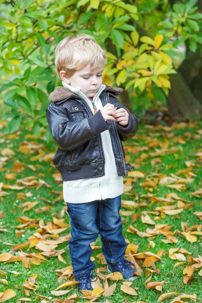 Adorable toddler boy in autumn park — Stock Photo, Image