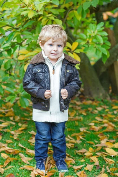 Adorable toddler boy in autumn park — Stock Photo, Image