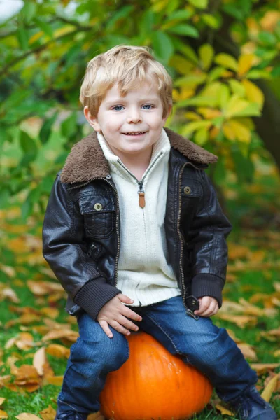 Маленький ребенок с большой оранжевой тыквой в саду — стоковое фото