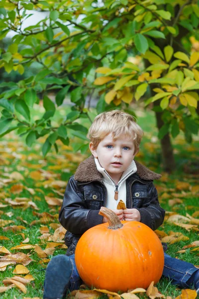 Pequeño niño con calabaza verde en el jardín — Foto de Stock