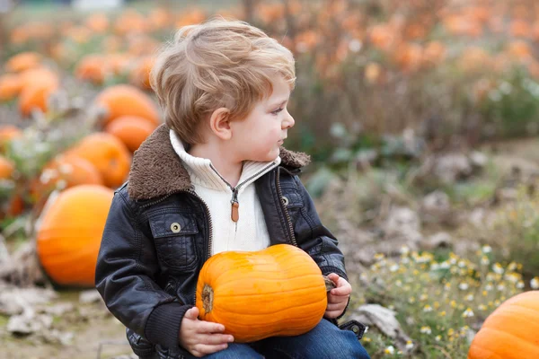 Little toddler boy on pumpkin field — Stock Photo, Image