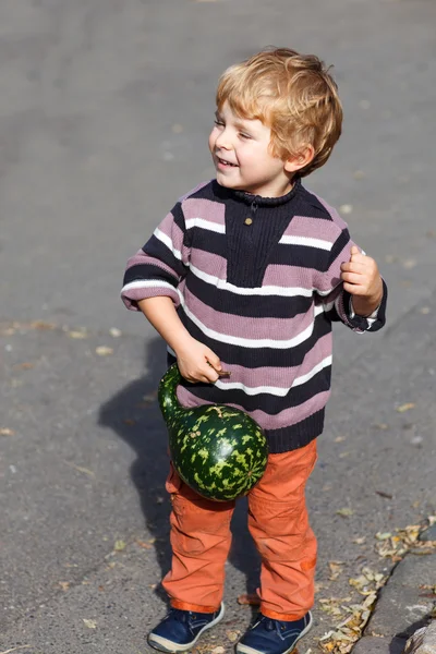 큰 주황색 호박 정원에서 작은 아이 — 스톡 사진