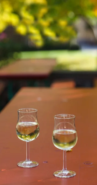 Coppia di bicchieri di vino con vino bianco in vigna a Rheingau — Foto Stock