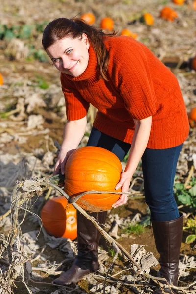 Mujer joven trabajando en el campo de calabaza —  Fotos de Stock