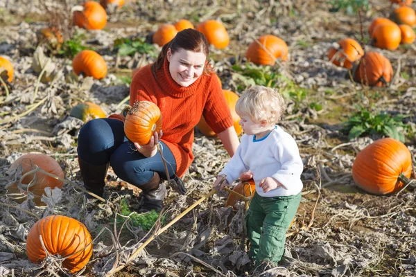 Little toddler boy and his mother on pumpkin field — Stock Photo, Image