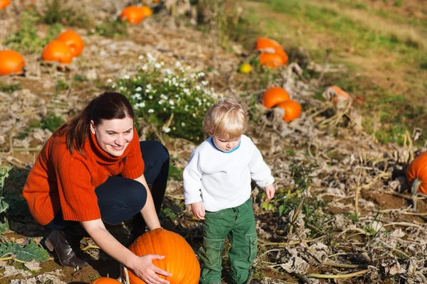 Kleine peuter jongen en zijn moeder op pompoen veld — Stockfoto